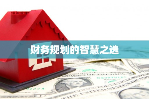 东乌旗财务规划的智慧之选