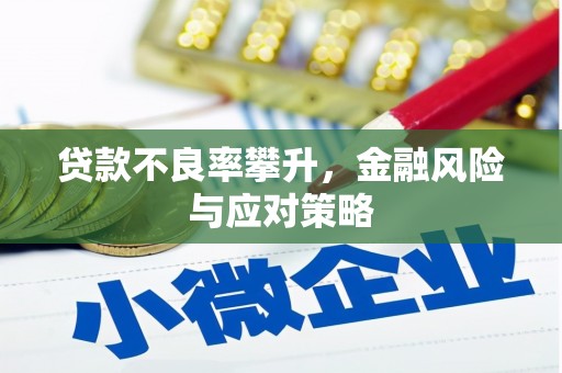 东乌旗贷款不良率攀升，金融风险与应对策略